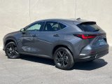 Used 2025 Lexus NX SUV