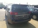 Used 2019 Kia Sedona Van