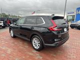 Used 2025 Honda CR-V SUV
