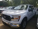 Used 2021 Ford F-150 Truck