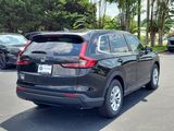 New 2026 Honda CR-V SUV