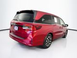 Used 2025 Honda Odyssey Van