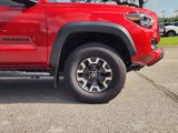 Used 2022 Toyota Tacoma Truck
