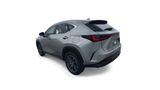 Used 2025 Lexus NX SUV