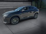 Used 2024 Lexus NX SUV