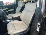 Ascent Limited 8 Passenger