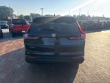 Used 2026 Honda CR-V SUV