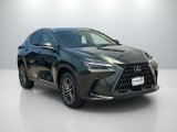 Used 2024 Lexus NX SUV