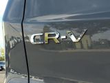 Used 2025 Honda CR-V SUV