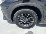 Used 2024 Lexus NX SUV