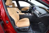 Used 2025 Lexus RX SUV