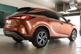 Used 2025 Lexus RX SUV
