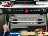 Used 2024 Kia Carnival Van