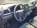 New 2026 Honda Odyssey Van