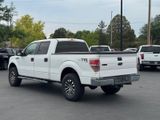 Used 2013 Ford F-150 Truck