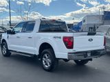 Used 2024 Ford F-150 Truck
