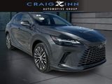 Used 2024 Lexus RX SUV
