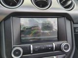 Used 2019 Ford Mustang Convertible