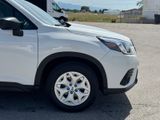 Used 2023 Subaru Forester SUV