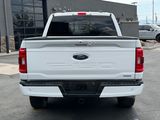 Used 2023 Ford F-150 Truck