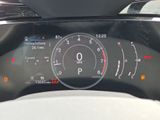 Used 2026 Lexus NX SUV