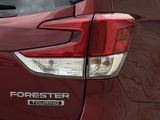 Used 2020 Subaru Forester SUV