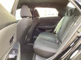 New 2026 Hyundai Elantra Sedan