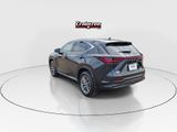 Used 2026 Lexus NX SUV