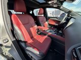 Used 2025 Lexus NX SUV