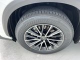 Used 2024 Lexus NX SUV