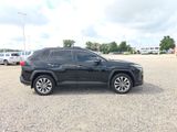 Used 2025 Toyota RAV4 SUV