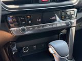 New 2026 Kia Seltos SUV