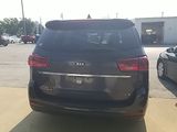 Used 2019 Kia Sedona Van