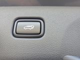 New 2026 Kia Sportage SUV