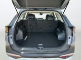 Used 2024 Kia Sportage SUV