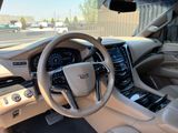 Used 2019 Cadillac Escalade SUV