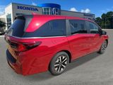 New 2026 Honda Odyssey Van
