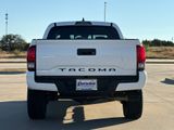 Used 2021 Toyota Tacoma Truck