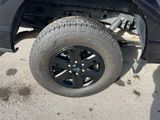 Used 2023 Ford F-150 Truck