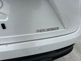 Used 2025 Lexus NX SUV