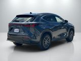 Used 2025 Lexus NX SUV