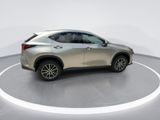 Used 2025 Lexus NX SUV