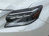 Used 2020 Lexus GX SUV