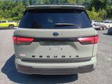 Used 2024 Toyota Sequoia SUV