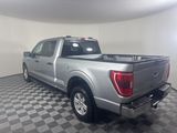 Used 2023 Ford F-150 Truck