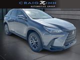 Used 2025 Lexus NX SUV
