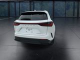 Used 2025 Lexus NX SUV