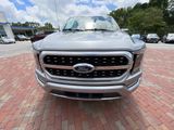 Used 2023 Ford F-150 Truck