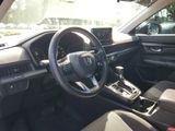 Used 2025 Honda CR-V SUV