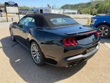 New 2025 Ford Mustang Convertible
